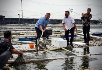 Wamenkop Ferry Juliantono saat melakukan panen perdana ikan kakap putih dan ikan kerapu yang diproduksi oleh Koperasi Mambo Mina Mekar Sejahtera di kawasan Muaragembong, Kab.Bekasi, Jawa Barat, Rabu (22/01).