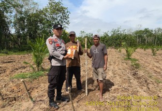 Polsek Belitang III Laksanakan Penanaman Jagung