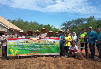 Polsek Belitang III Tanam Jagung serentak Kuartal IV