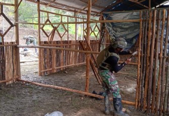 Satgas Yonif 700/Wyc Kejar Target Pembangunan SD 03 Mayuberi Hampir Rampung