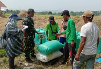 Serapan Gabah di Nganjuk Optimis Lampaui Target