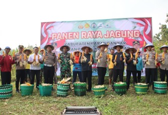 Kapolres Karanganyar bersama sejumlah pejabat Forkopimcam Ngargoyoso saat panen raya jagung serentak tingkat nasional bersama kelompok tani Agung Rejeki, di Dusun Gemawang, Desa Dukuh, Kecamatan Ngargoyoso, Kamis (15/5/2025)