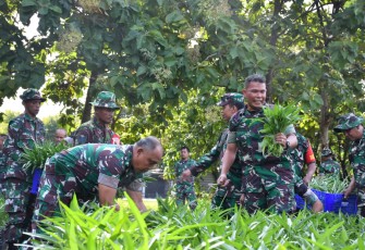  Komandan Kodim 0802/Ponorogo Letkol Inf Dwi Soerjono didampingi Perwira Staf dan Anggota melaksanakan panen syur di lahan ketahan pangan Kodim 0802/Ponorogo bertempat di Jl. Veteran Kelurahan Surodikraman Kecamatan / Kabupaten Ponorogo, Rabu (19/2/2025)