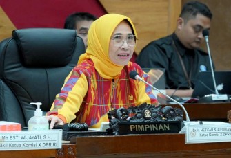 Ketua Komisi X DPR RI, Hetifah Sjaifudian