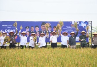 Produksi padi di Kabupaten Ngawi pada tahun 2024 diperkirakan mencapai 762,29 ribu ton Gabah Kering Giling (GKG)