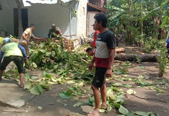 Babinsa Kodim Ponorogo Bersihkan Ranting Pohon Bersama Warga