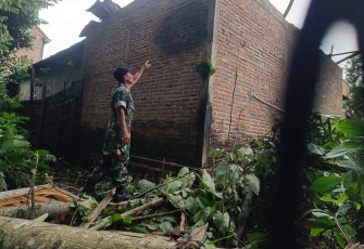 TNI-Polri Serta Warga Bersatu, Sigap Evakuasi Pohon Tumbang di Trenggalek