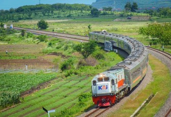 KAI Daop 1 Jakarta Catat Enam Kejadian Pohon Tumbang Sepanjang 2025, Seluruhnya Berhasil Ditangani dengan Cepat