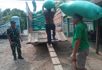 Anggota Koramil 0803/11 Geger Dampingi Petani dalam Serapan Gabah
