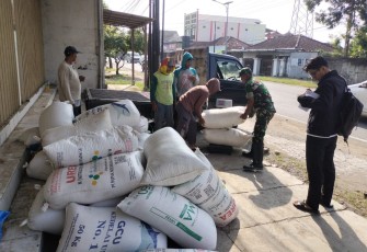 Babinsa dan Petani Trenggalek Buktikan Ketahanan Pangan Bisa Dimulai dari Desa