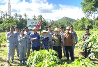 Kepala Badan Keamanan Laut Republik Indonesia (Bakamla RI), Laksdya TNI Dr. Irvansyah, S.H., M.Tr.Opsla., melaksanakan panen kacang tanah di lahan Bakamla RI yang terletak di Banjar Yeh Malet, Desa Antiga Kelod, Kecamatan Manggis, Karangasem, Bali, Selasa (15/4/2025)