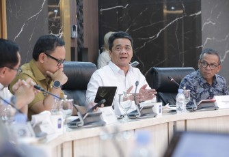 Wamendes PDT Ariza Patria