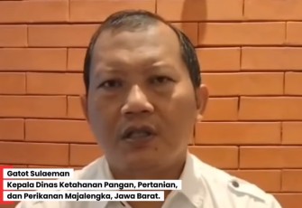 Gatot Sulaeman, Kepala Dinas Ketahanan Pangan, Pertanian, dan Perikanan Majalengka, Provinsi, Jawa Barat.