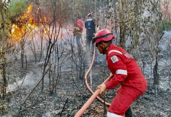 Petugas saat memadamkan Karhutla
