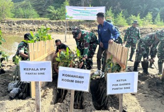 Komandan Kodim 0807/Tulungagung Letnan Kolonel Arh Hanny Galih Satrio, S.I.P., M.Han. bersama puluhan anggota Kodim 0807/Tulungagung, anggota Polri, Perhutani, kelompok Darwis, dan warga masyarakat melaksanakan kegiatan penanaman pohon mangrove di pesisir Pantai Cemoro Sewu, Dusun Sine, Desa Kalibatur, Kecamatan Kalidawir, Kabupaten Tulungagung, Jawa Timur, Senin (25/5/2026)