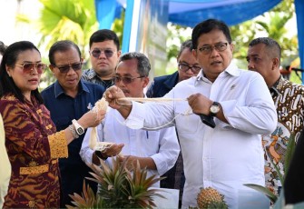 Wamen Viva Yoga menghadiri festival nanas di kawasan transmigrasi Pekanbaru, Riau, Sabtu (17/1)