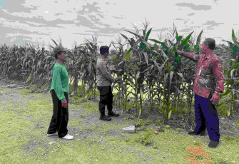 Pendampingan petani wilayah desa binaan 