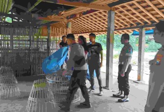 Lokasi judi sabung ayam