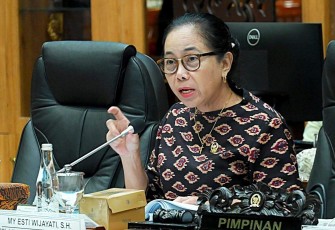 Wakil Ketua Komisi X DPR RI MY Esti Wijayanti