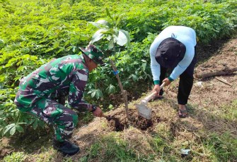 Tanam pohon di bantaran sungai 