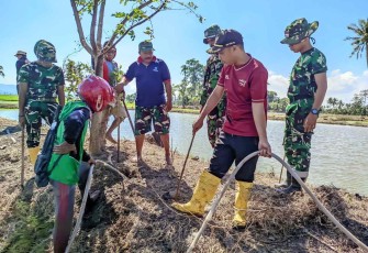 Pembasmian hama tikus di Desa Tanratuo