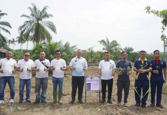 Budidaya Pepaya California di Lapas Narkotika Langkat