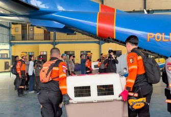 10 K9 SAR berpengalaman ke Flores dengan misi pencarian korban