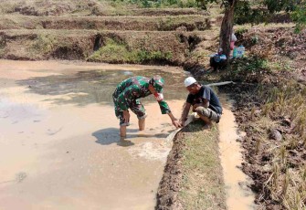 Pengairan sawah petani desa binaan