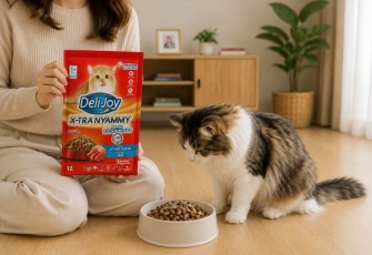 Dry Food Kucing yang Bagus untuk Kesehatan dan Nutrisi Anabul