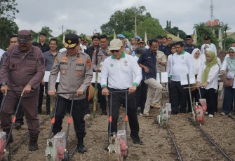 Dukung Ketahanan Pangan, Holding Perkebunan Nusantara Lewat PalmCo Perkuat Kemitraan Petani di Jambi