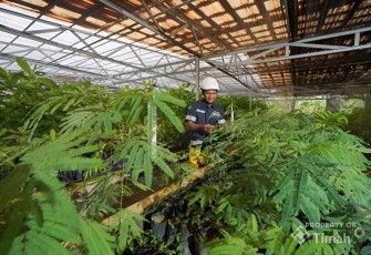Grup MIND ID Reklamasi 8.000 Hektare Lahan dan Rehabilitasi DAS 37.700 Hektare, Perbaiki Kualitas Keanekaragaman Hayati