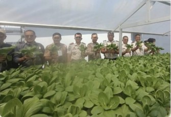 Panen raya sayur mayur Lapas Binjai