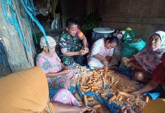 Babinsa Dampingi Petani Muneng olah Hasil Panen Jagung