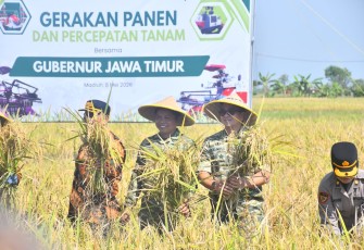 Gerakan Panen Raya dan Percepatan Tanam Padi yang digelar di lahan persawahan Desa Gading, Kecamatan Balerejo, Kabupaten Madiun, Jumat (8/5/2026)
