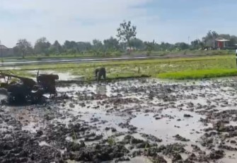 Bantu olah lahan pertanian warga binaan
