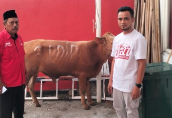DPD PDI Perjuangan Jawa Timur menyalurkan 468 ekor sapi kurban ke berbagai daerah di Jawa Timur pada momentum Hari Raya Idul Adha 1447 Hijriah