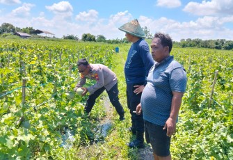 Polresta Sidoarjo Gelorakan Swasembada Pangan Melalui Program P2B