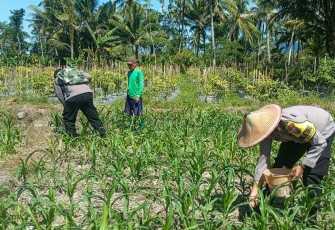Polres Lumajang Terjunkan Personel  Penggerak Ketahanan Pangan Dampingi Warga Tani