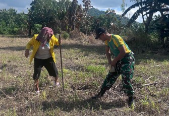 Yonarmed 12 Kostrad Tingkatkan Kesejahteraan Warga Perbatasan Lewat Program Ketahanan Pangan