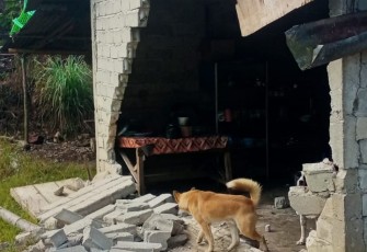 Gempa Sulawesi Tengah, 6.458 Jiwa Terdampak