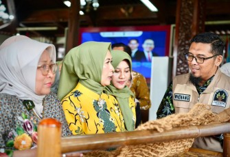 Ketua Bidang Manajemen Usaha di Dewan Kerajinan Nasional (Dekranas) Sita Ferry Juliantono