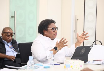Wakil Menteri Dalam Negeri (Wamendagri) Ribka Haluk