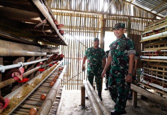 Pangdam I/BB Mayjen TNI Hendy Antariksa melaksanakan kunjungan kerja ke Yonif TP 906/SLG di Desa Binanga Boang, Kecamatan Salak, Kabupaten Pakpak Bharat, Kamis (2/7/2026)