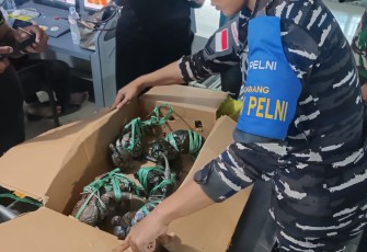 Berhasil Gagalkan Penyelundupan di KM Nggapulu, Pam Pelni Kodaeral IX Amankan Kepiting Kenari dan Miras