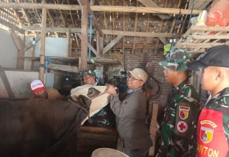 Pelayanan kesehatan hewan ternak warga 