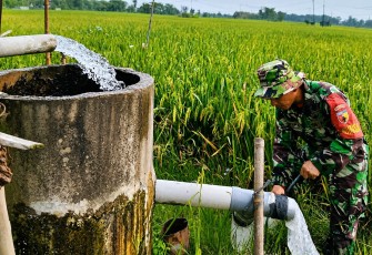 Babinsa Hadir Mengalirkan Harapan Petani
