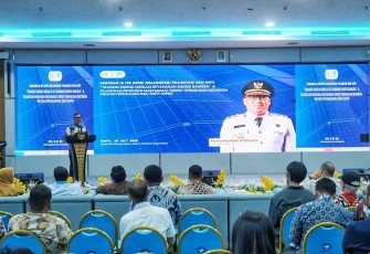 Wakil Gubernur Kepulauan Riau, Nyanyang Haris Pratamura