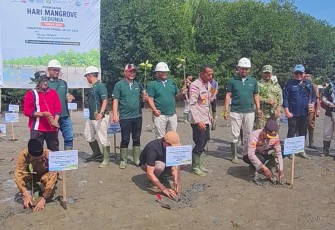 Kolaborasi Pemkab Aceh Singkil Dengan PT PLB