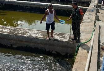 Pendampingan dalam membudidayakan lele warga desa binaan