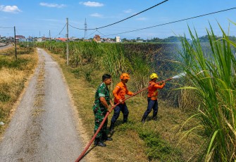 Kobaran Api Melahap Kebun Tebu, Babinsa dan Warga Winongi Sigap Cegah Karhutla Meluas